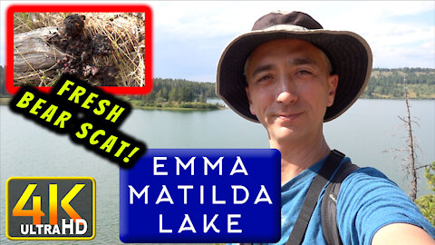 Hike Emma Matilda Lake Complete Trail Grand Teton Bear Scat (4k UHD)