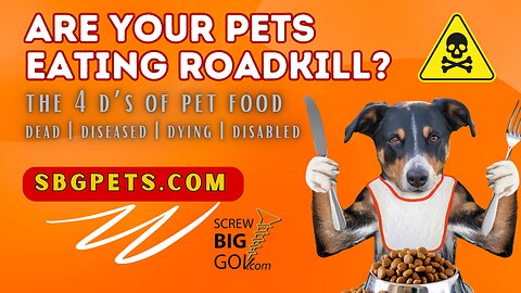 Are Your Pets Eating Road Kill