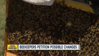 Buzzkill for beekeepers: New rules could give more power to pest control