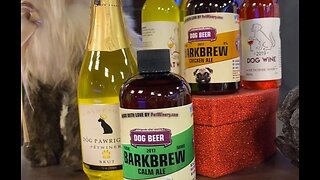 Dr. Ruth Pet Vet shares trending holiday gift ideas for pets