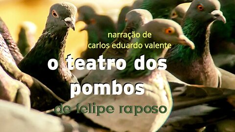 AUDIOBOOK - O TEATRO DOS POMBOS - de Felipe Raposo