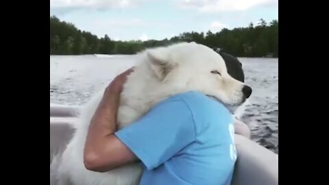 Animal people love affection hug