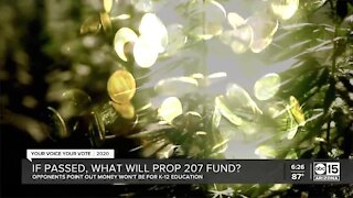 If passed, what will Prop. 207 fund?
