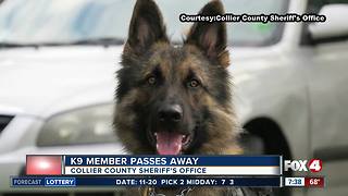 Collier County Sheriff's K9 passes away