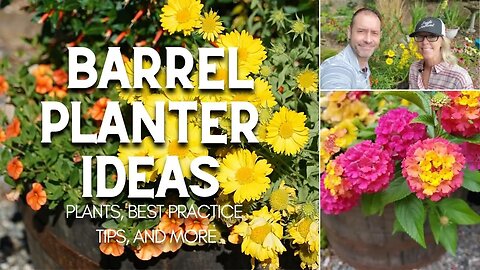 😃 Barrel Planter Ideas: Plants, Best Practices, and More 😃