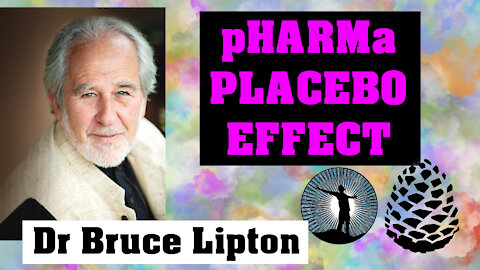 pHARMa, Placebo Effect by Dr. Bruce Lipton, Pinecone