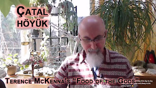 ASMR Book Club: Terence McKenna's “Food of the Gods", Catal Huyuk (Çatalhöyük) , p.82