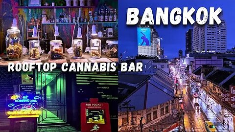 Rooftop Cannabis Cannabis Bar Bangkok Thailand 🇹🇭
