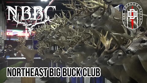 The Northeast Big Buck Club || What is it? What are they about?