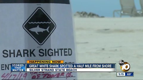 Great white shark spotted near Silver Strand
