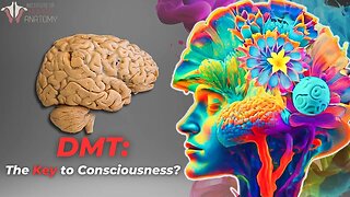 The Profound Potential of DMT