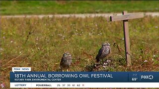 Organizers with annual burrowing owl festival show new features this year