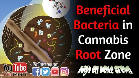 Cannabis News | Beneficial Bacteria in Cannabis Root Zone | @HighonHomeGrown Episode 150