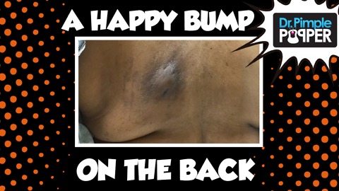 A Very Happy Bump on The Back