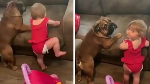 Baby learning to climb on the couch with her dog