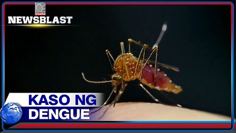 Kaso ng dengue sa Pangasinan, tumaas ng 12% noong 2023; 21 katao, nasawi sa nasabing sakit