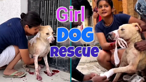 Dog rescue | Dog feeding |animal rescue