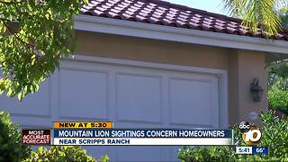 Homeowners worry about mountain lion sightings