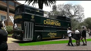 SOUTH AFRICA - Johannesburg - Springbok Rugby World Cup Trophy Tour (Video) (SZo)