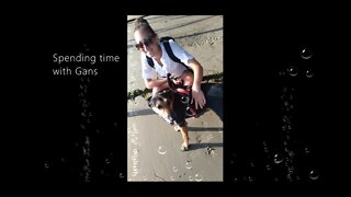 Spending Time With Gans - The Rescue Alsatian