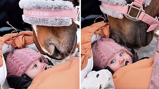 Baby’s Beautiful Bond With Horse Is Truly a Sight to Behold