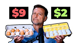 Are Expensive Eggs Really Worth It?