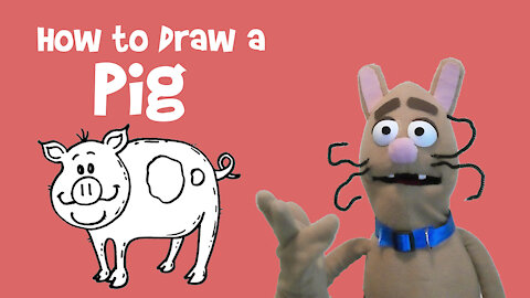 How to Draw a Pig