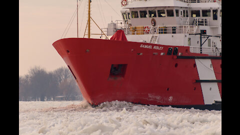 CCGS Samuel Risley ice breaking on the frozen Saint Clair river Feb 14, 2021