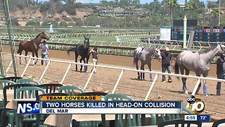 Two horses die in Del Mar accident