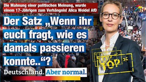 Die Mahnung einer politischen Meinung wurde einem 17-Jährigen zum Verhängnis! Alica Weidel AfD