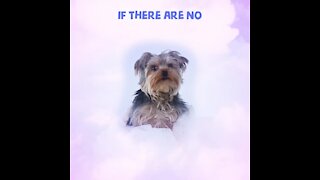 If there are no dogs in heaven [GMG Originals]