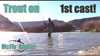 Hooking a RAINBOW TROUT on my 1st cast! - Fun day on the San Juan River - McFly Angler Episode 9