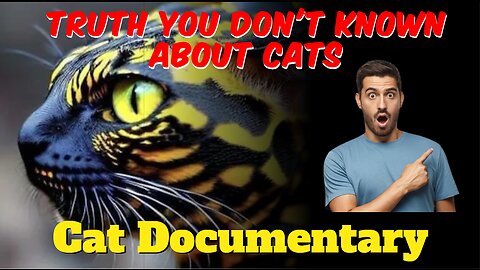 Cat Documentary l Truth you don't known About Cats