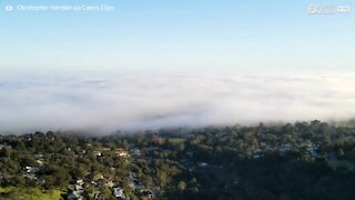 Drone captures encroaching fog in Australia