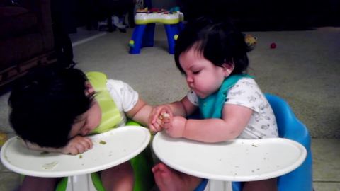 "Cute Baby Steals Food From SIbling"