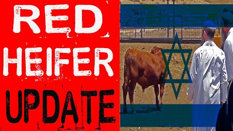 RED Heifer Bible Prophecy Update for March 2021