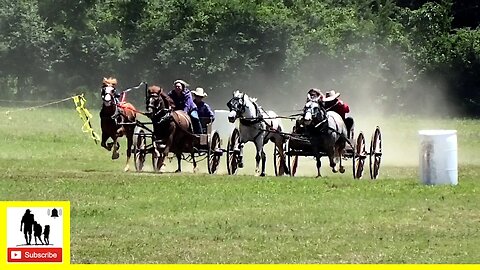 Buckboard Wagon Races - What About Bob Chuckwagon Races 2022 | Sunday