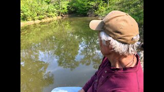 How to Clean and Cook Trout (and other fish too)