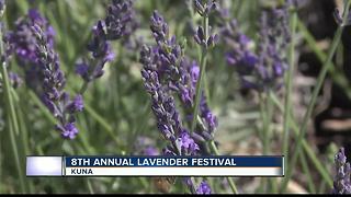 Kuna Lavender Festival runs through Sunday