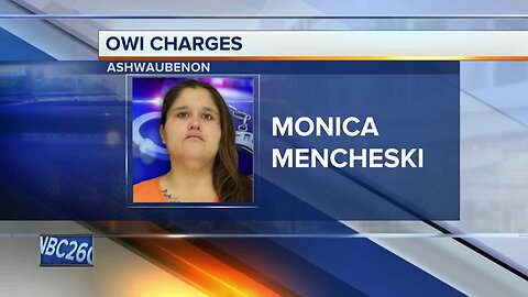 Mother cited with 2nd OWI after police say she drove through backyards with three young kids in car