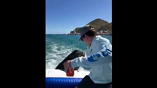 Sea Lion straight up bites dude on boat