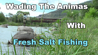 Animas River Wading - With Fresh-Salt Fishing - McFly Angler Episode 29