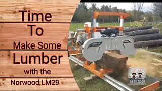 Making some lumber