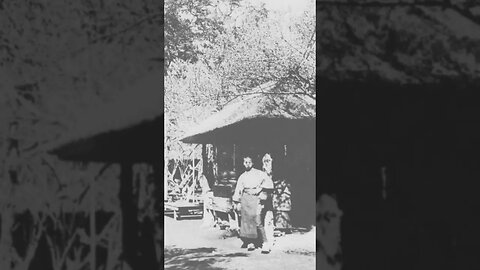 Japan in a 100 year old photograph A garden to admire the plum trees #shorts