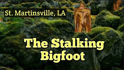 BIGFOOT STALKS A MAN IN THE LOUISIANA WOODS.