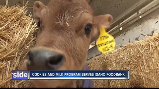 Girls scouts and Dairy West team up to fight hunger