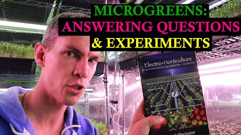 he Microgreen Experiments We Are Playing With To Test Growth Speed and Crop Resilience