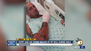 Puppy and owner mauled during walk