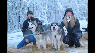 Huskies Dog Sledding with Transportation and Photos Service in Fairbanks, Alaska