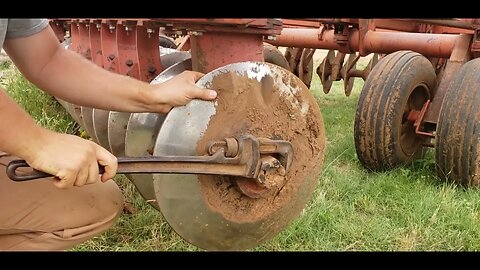 Replacing Bearings in a Sunflower Disc